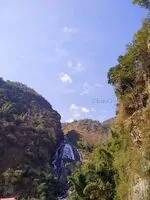 3 Красный чай «Солнце Востока» с фиксацией на солнце из Айлао